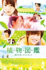 Nonton film Evergreen Love (2016) terbaru