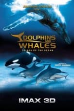 Nonton film Dolphins and Whales: Tribes of the Ocean (2008) terbaru