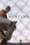 Nonton film The Mustang (2019) terbaru