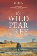 Nonton film The Wild Pear Tree (2018) terbaru