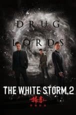 Nonton film The White Storm 2: Drug Lords (So duk 2: Tin dei duei kuet) (2019) terbaru