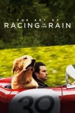 Nonton film The Art of Racing in the Rain (2019) terbaru