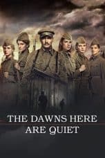 Nonton film The Dawns Here Are Quiet (A zori zdes tikhie) (2015) terbaru