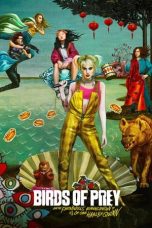 Nonton film Birds of Prey (and the Fantabulous Emancipation of One Harley Quinn) (2020) terbaru