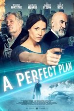 Nonton film A Perfect Plan (2020) terbaru