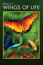 Nonton film Disneynature: Wings of Life (2011) terbaru