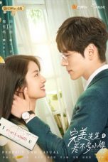 Nonton film Drama China Perfect and Casual (2020) terbaru