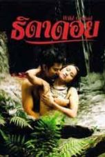 Nonton film Wild Orchid (2010) terbaru