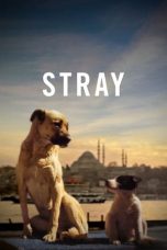 Nonton film Stray (2020) terbaru