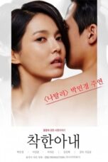 Nonton film The Kind Wife (2016) terbaru